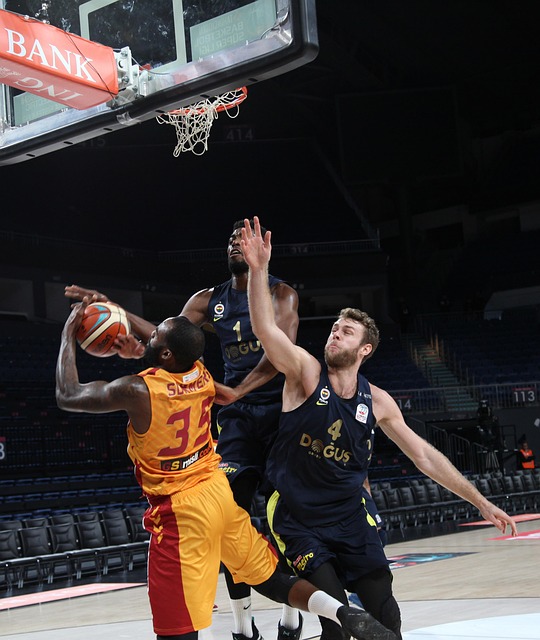 迷的目光 迷的目光